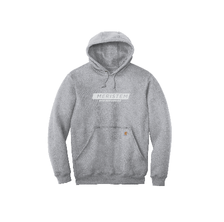 Carhartt ® Midweight Hooded Sweatshirt