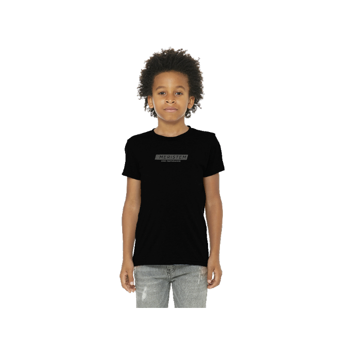 BELLA+CANVAS ® Youth Triblend Short Sleeve Tee