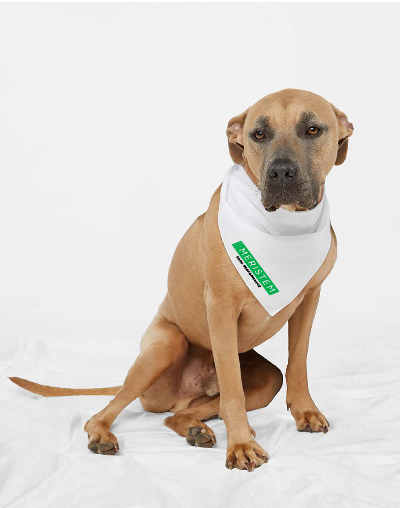 Doggie Skins - USA-Made Doggie Bandana